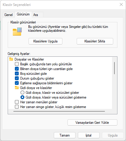 Windows 11 Dosya Uzantısı Gösterme