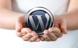 resim wordpress 4 - Web barındırma ve WordPress barındırma nedir?