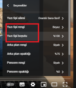 renk boy 3 - Youtube Altyazı Tipi Ayarı