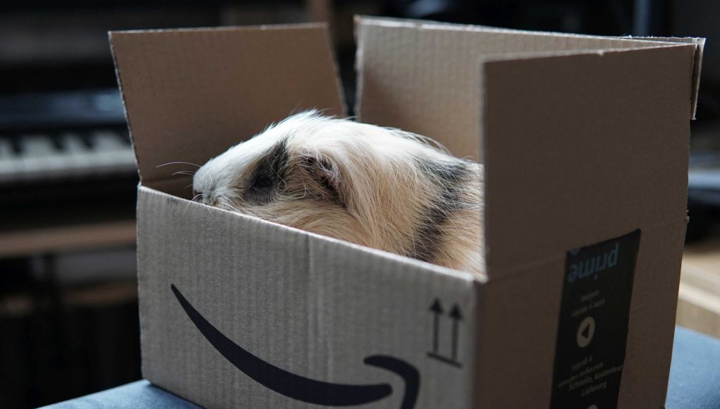 Amazon Prime üyeliğinizi nasıl iptal edebilirsiniz
