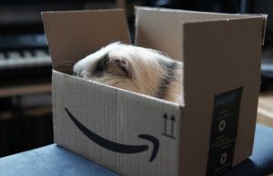 Amazon Prime üyeliğinizi nasıl iptal edebilirsiniz