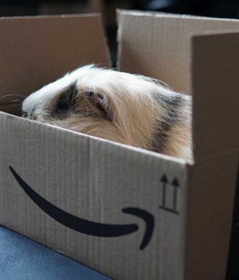 Amazon Prime üyeliğinizi nasıl iptal edebilirsiniz