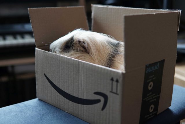 Amazon Prime üyeliğinizi nasıl iptal edebilirsiniz