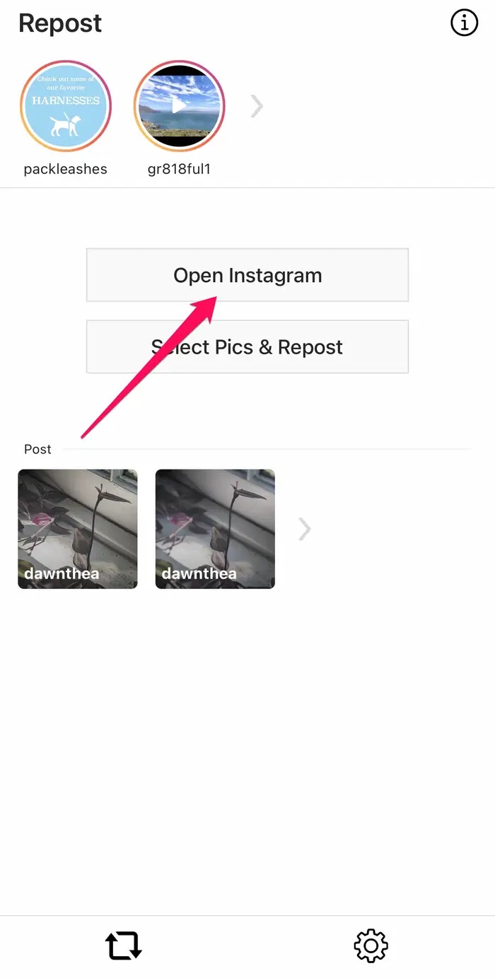 Instagram Reels Videolarını İndirme