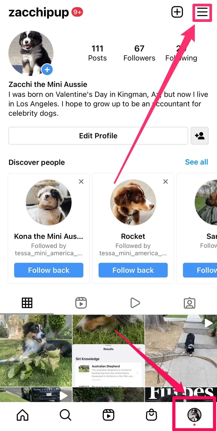 Instagram'da Beğendiğiniz Paylaşımları Görüntüleme