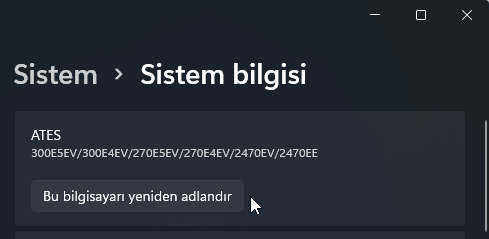 Windows 11 Bilgisayar Adı Değiştirme