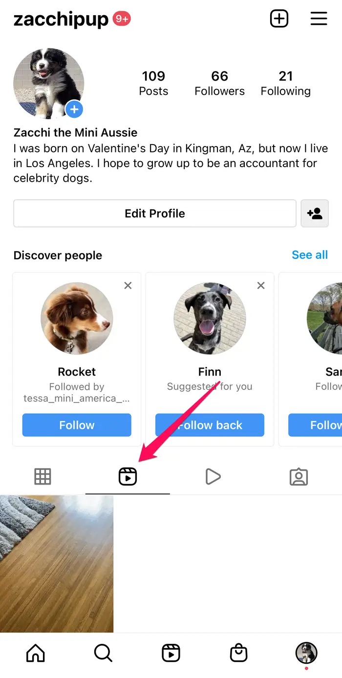 Instagram Reels Videolarını İndirme Instagram Reels Videolarını İndirme