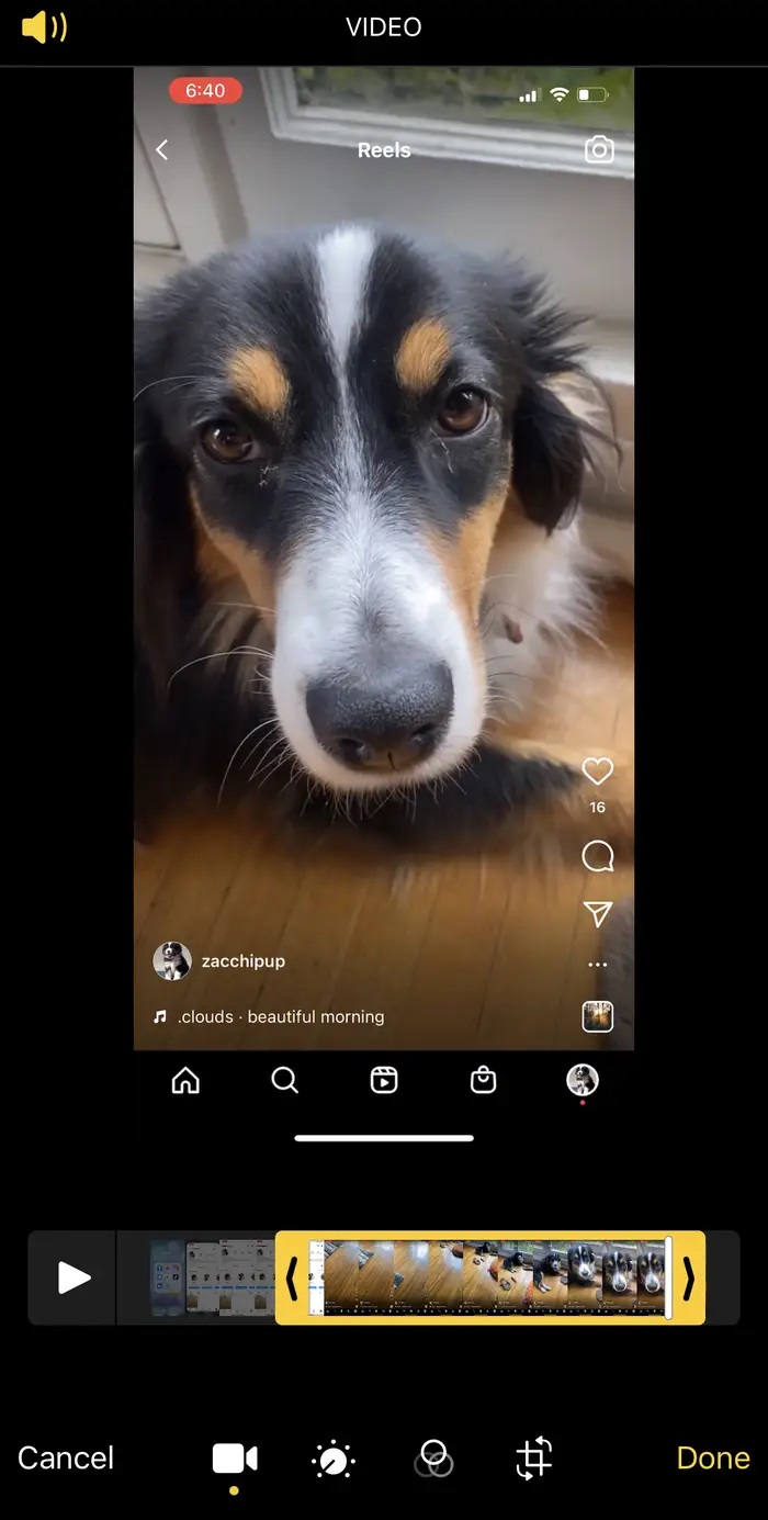 Instagram Reels Videolarını İndirme Instagram Reels Videolarını İndirme