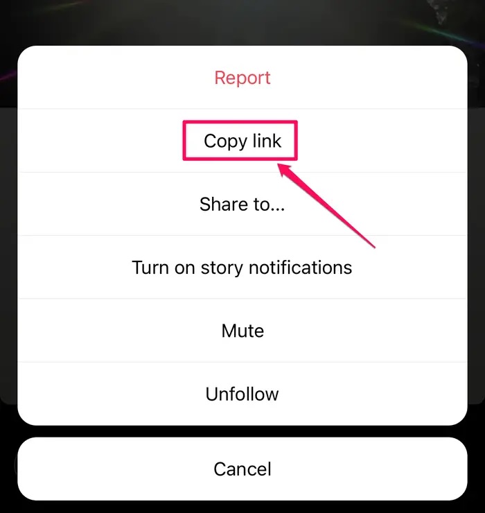 Instagram Reels Videolarını İndirme Instagram Reels Videolarını İndirme