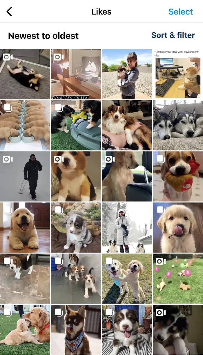 Instagram'da Beğendiğiniz Paylaşımları Görüntüleme Instagram'da Beğendiğiniz Paylaşımları Görüntüleme