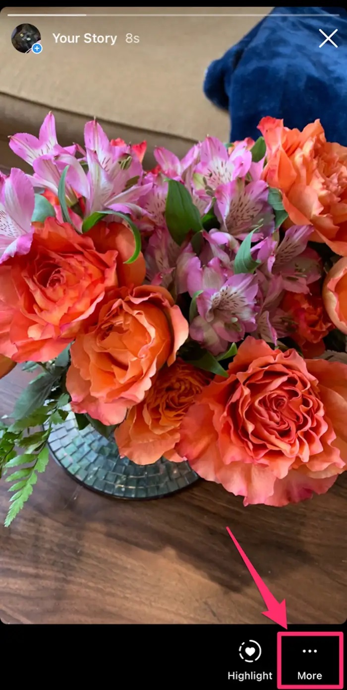 Instagram Videolarını iPhone veya Android Telefona İndirme