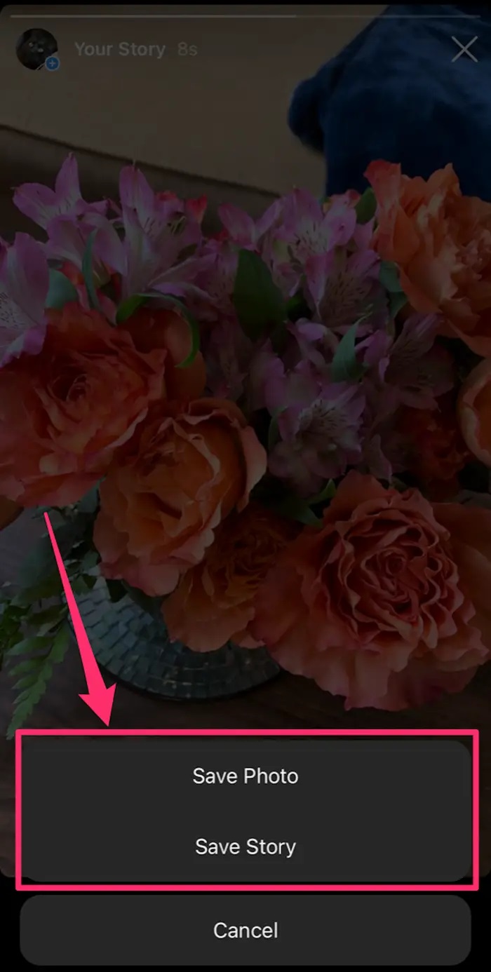 Instagram Videolarını iPhone veya Android Telefona İndirme