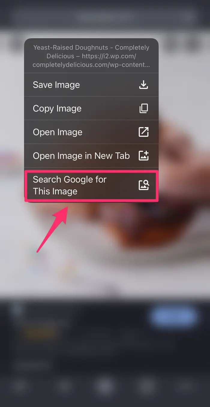 iPhone'da veya iPad'de Görsel Arama Yapma