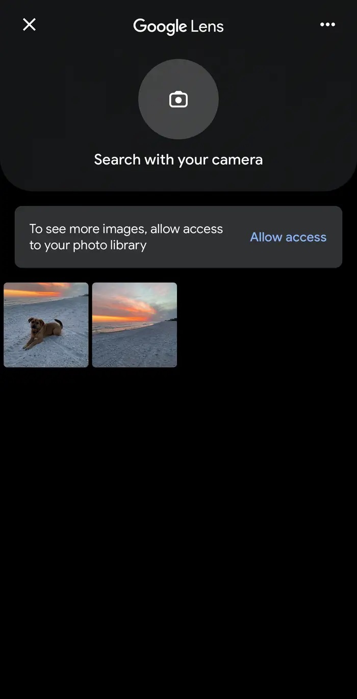 iPhone'da veya iPad'de Görsel Arama Yapma