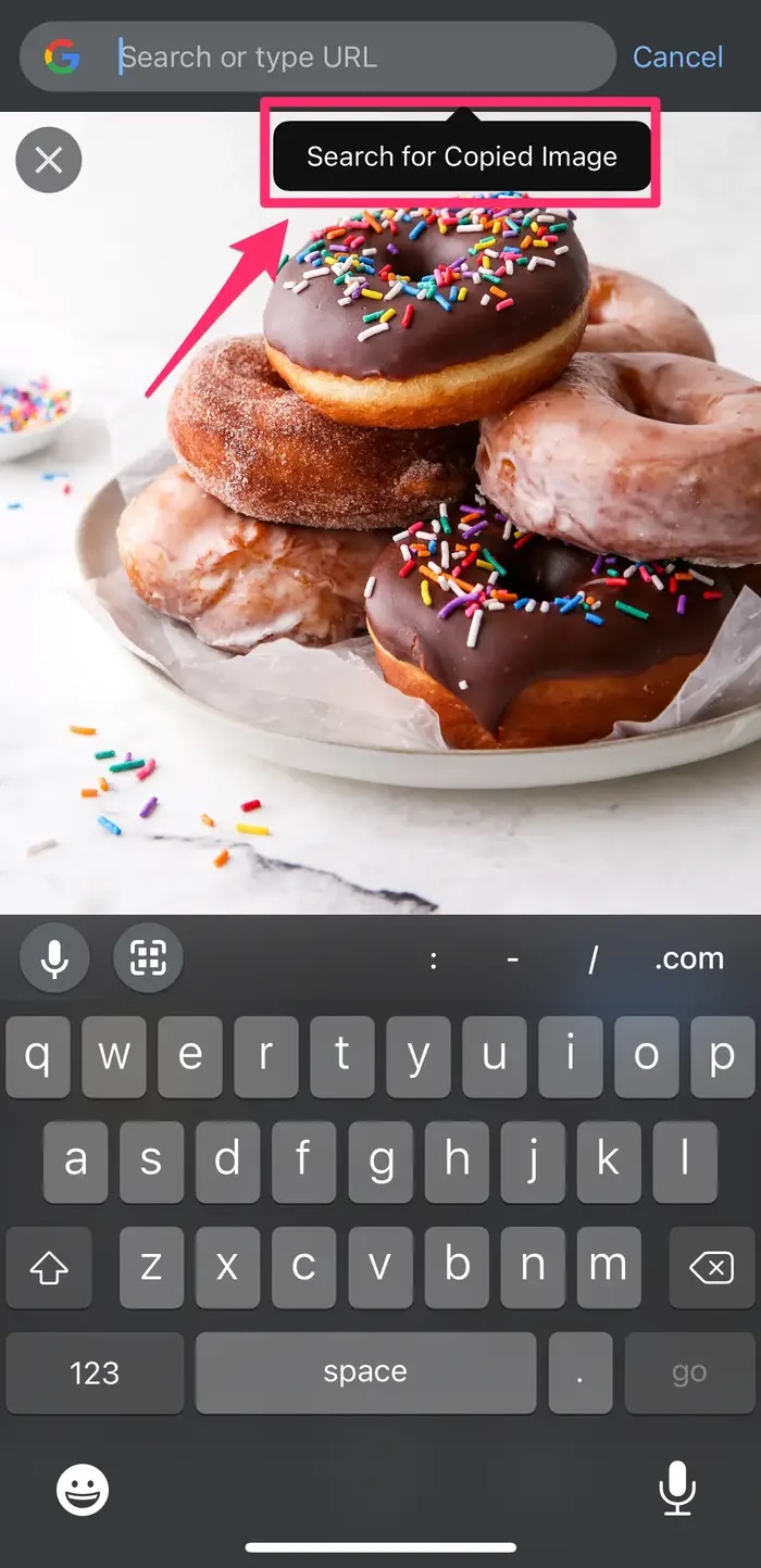 iPhone'da veya iPad'de Görsel Arama Yapma iPhone'da veya iPad'de Görsel Arama Yapma