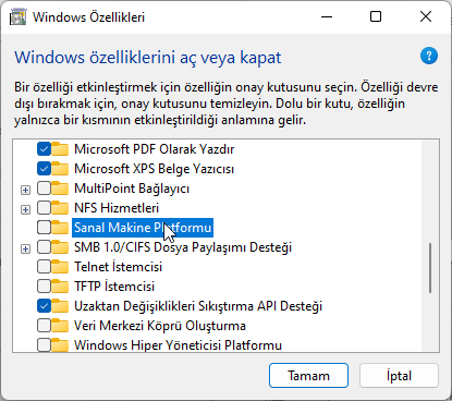 Windows 11'de Oyun Performansı Optimize Etme