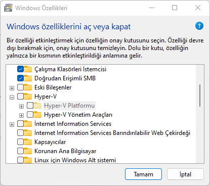 Windows 11'de Hyper-V Devre Dışı Bırakma