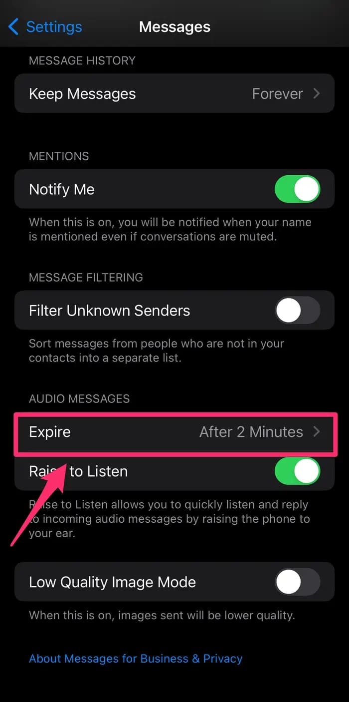 iPhone'da Sesli Mesajları Kaydetme