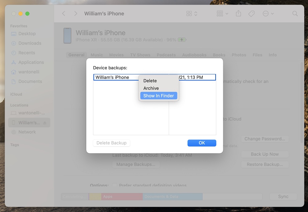 iPhone'u iCloud'a Mac'e veya Windows'a Yedekleme