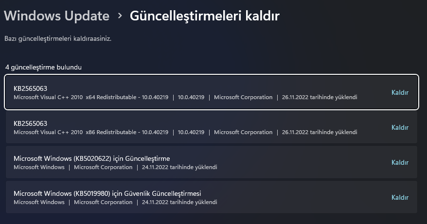 Güncelleme Sonrası Yazıcı Yazdırmıyor