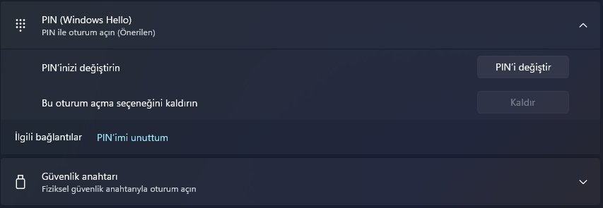 Windows 11 PIN Nasıl Kaldırılır