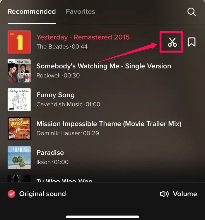 TikTok Ses Kaydı Düzenleme