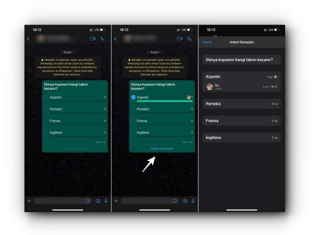 WhatsApp'ta Anket Nasıl Kullanılır