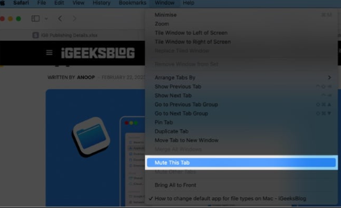 Safari de Videoları Durdurmanın 2 Yolu
