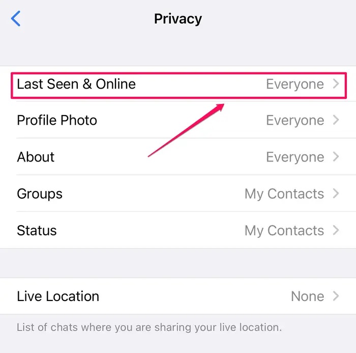 WhatsApp Çevrimiçi Durumunu Gizleme