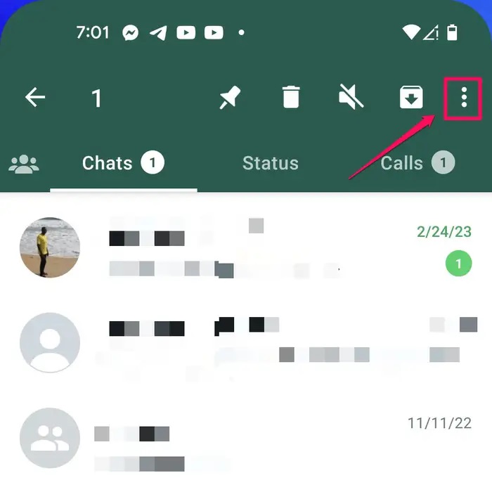 WhatsApp Çevrimiçi Durumunu Gizleme