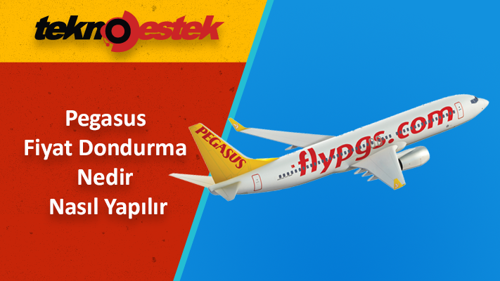 Pegasus Fiyat Dondurma Nedir ve Pegasus Fiyat Dondurma Nasıl Yapılır