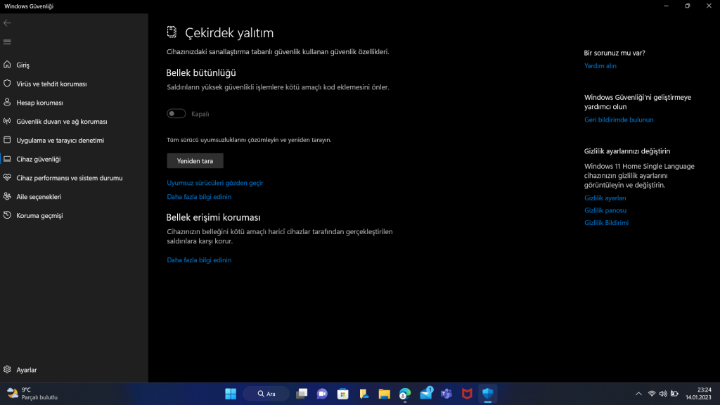Windows 11 Yükseltme Sorunu