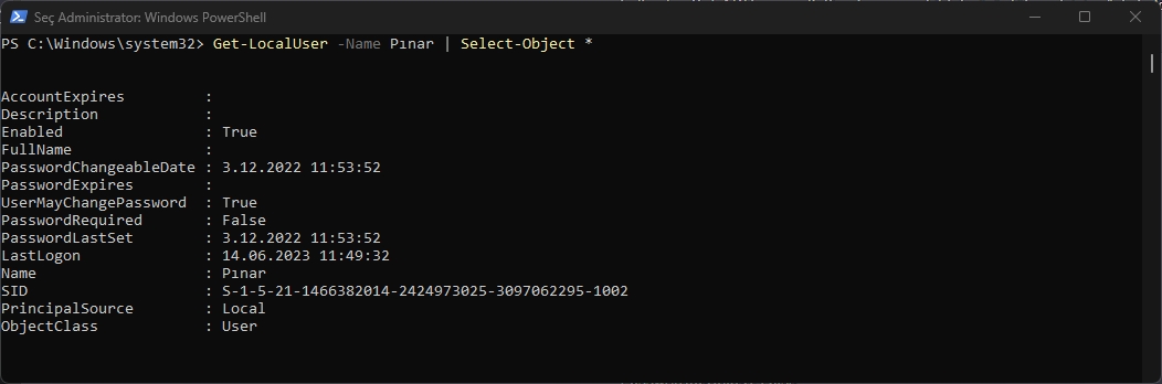 Windows 11 Yerel Kullanıcılar ve Gruplar