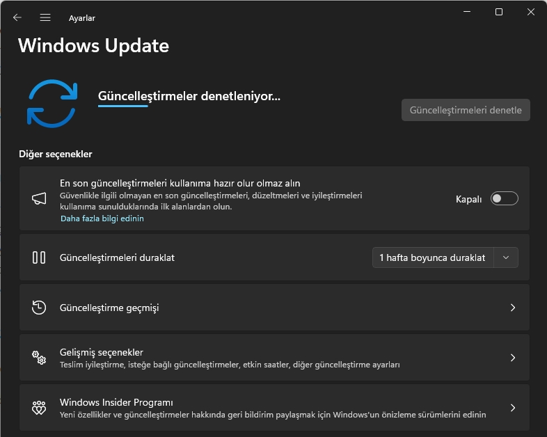 Windows 11 DirectX Hatası Nasıl Düzeltilir Windows 11 DirectX Hatası Nasıl Düzeltilir