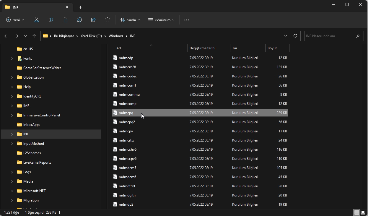 Bu INF Dosyasında Bir Hizmet Bölümü Geçersiz Hatası