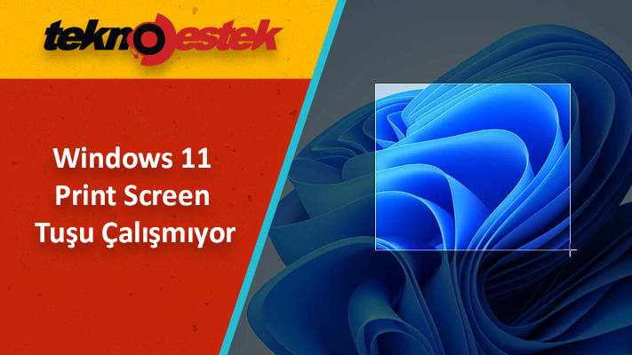 Print Screen Tuşu Çalışmıyor