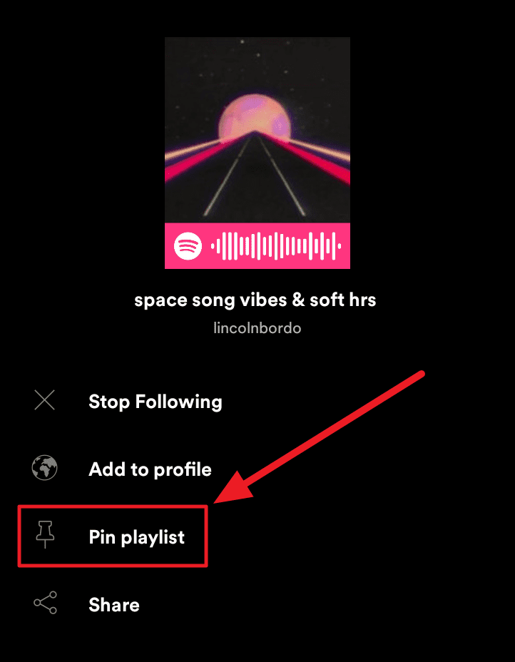 Spotify Öğeleri Nasıl sabitlenir ve kullanılır Spotify Öğeleri Nasıl sabitlenir ve kullanılır