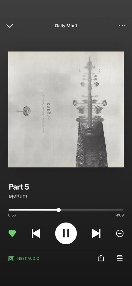 Spotify Arkadaşlarla Müzik Dinleme