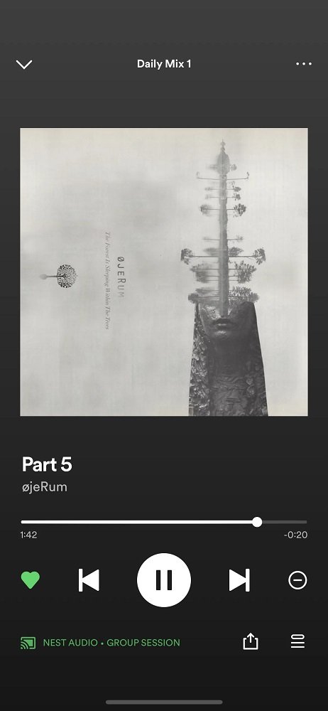 Spotify Arkadaşlarla Müzik Dinleme