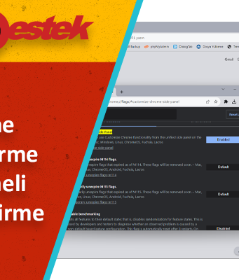 Chrome Özelleştirme Yan Paneli Etkinleştirme