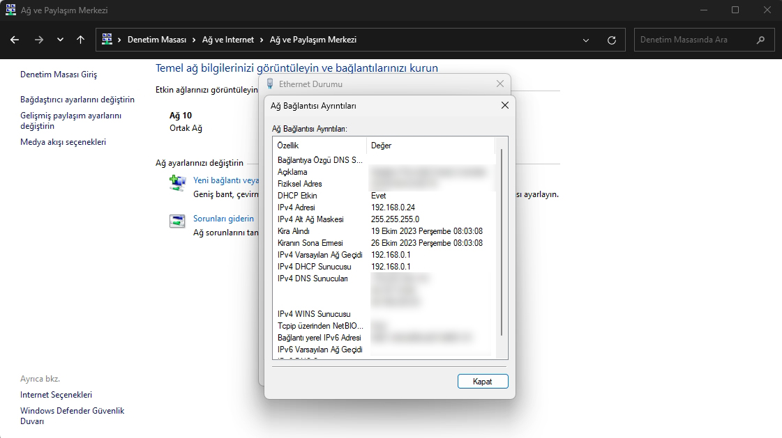 Windows 11 Ağ Bağlantısı Ayrıntıları