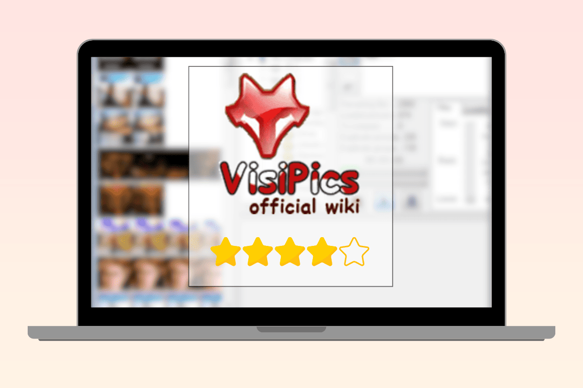 kk 1 - VisiPics Nedir ? Nasıl Kullanılır?