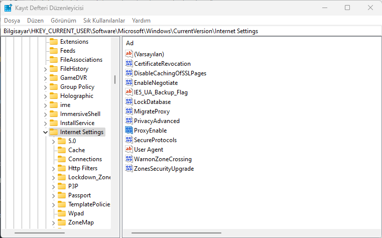 ERR_PROXY_CONNECTION_FAILED Hatası ve Çözümü ERR_PROXY_CONNECTION_FAILED Hatası ve Çözümü