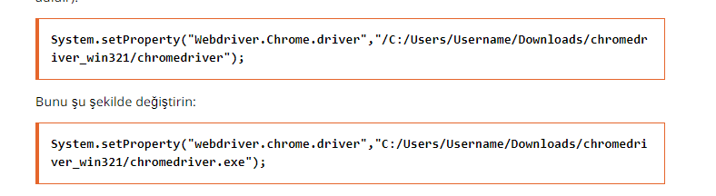 Web Sürücüsü Bir Tür Hatası Web Sürücüsü Bir Tür Hatası Nasıl Görülür