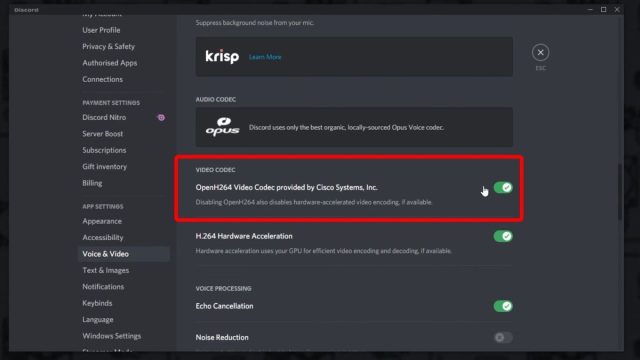 Discord Ekran Paylaşımı Sorunu