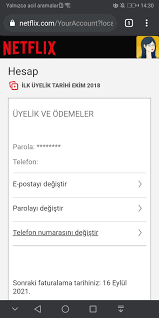 Netflix Sifre Degisikligii - Netflix Şifre Değişikliği Nasıl Yapılır
