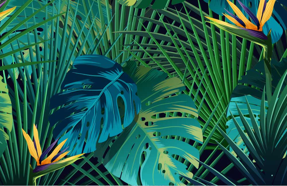 Shutterstock Nedir Shutterstock Nedirr - Shutterstock Nedir