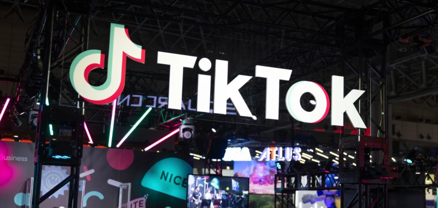 TikTok Videolarını Çevrimdışı İzleme