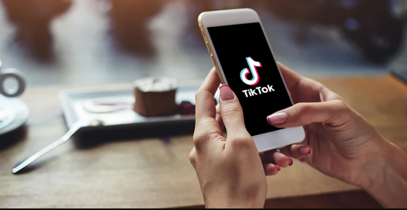 TikTok Videolarını Çevrimdışı İzleme