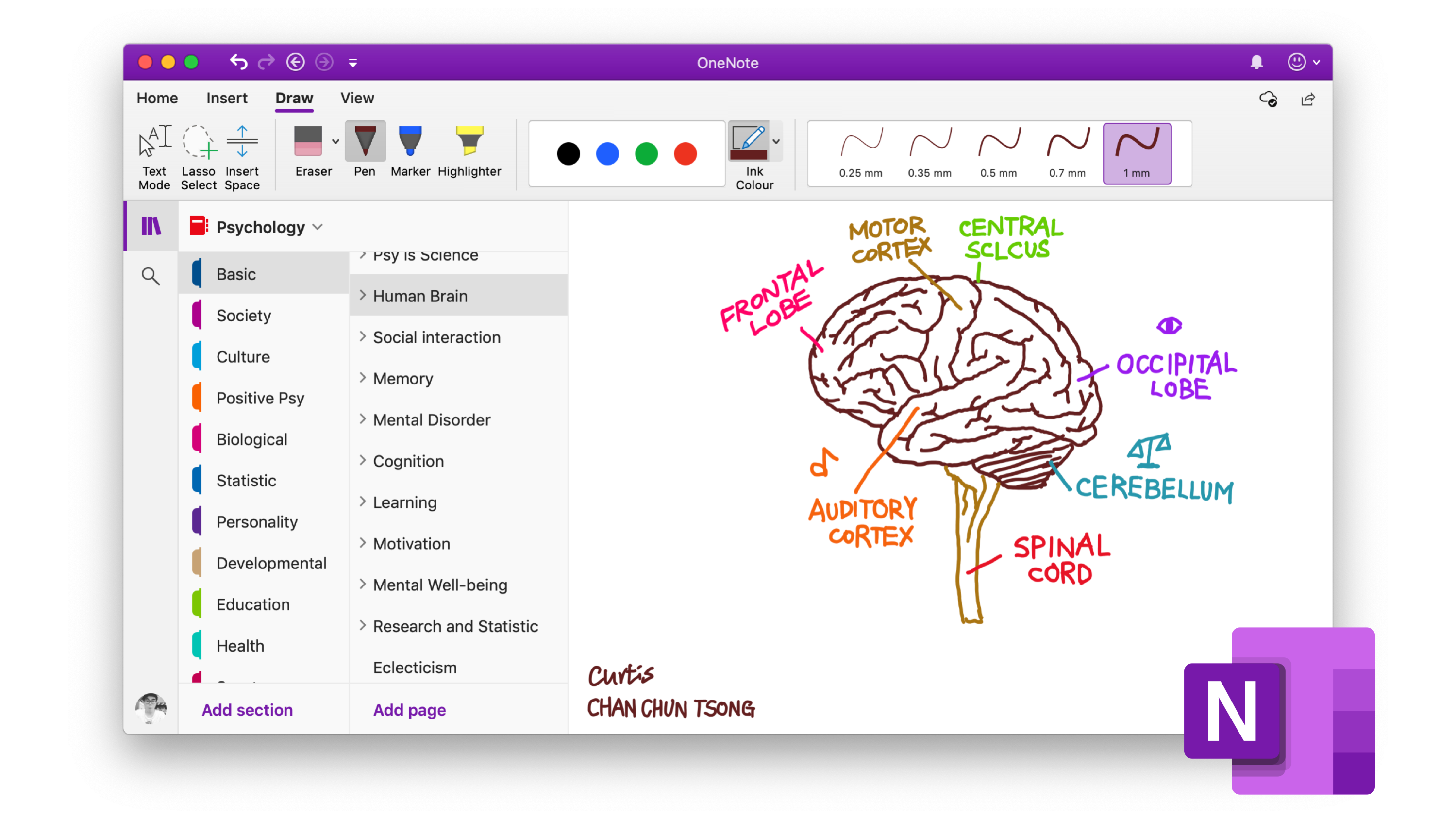 OneNote'te Silinen Defterler Nasıl Kurtarılır. Eğer önemli notlarınızı almak için OneNote kullanıyorsanız, defterlerinizi sildiğinizde ne olacağını düşünmeniz gerekebilir.